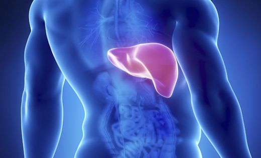 Hepatit B Siroz Belirtileri ve Tedavisi