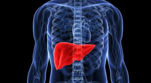 Sirozun Son Evresi Ne Kadar Sürer?